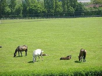 Garden Lodge Newmarket  Esterno foto